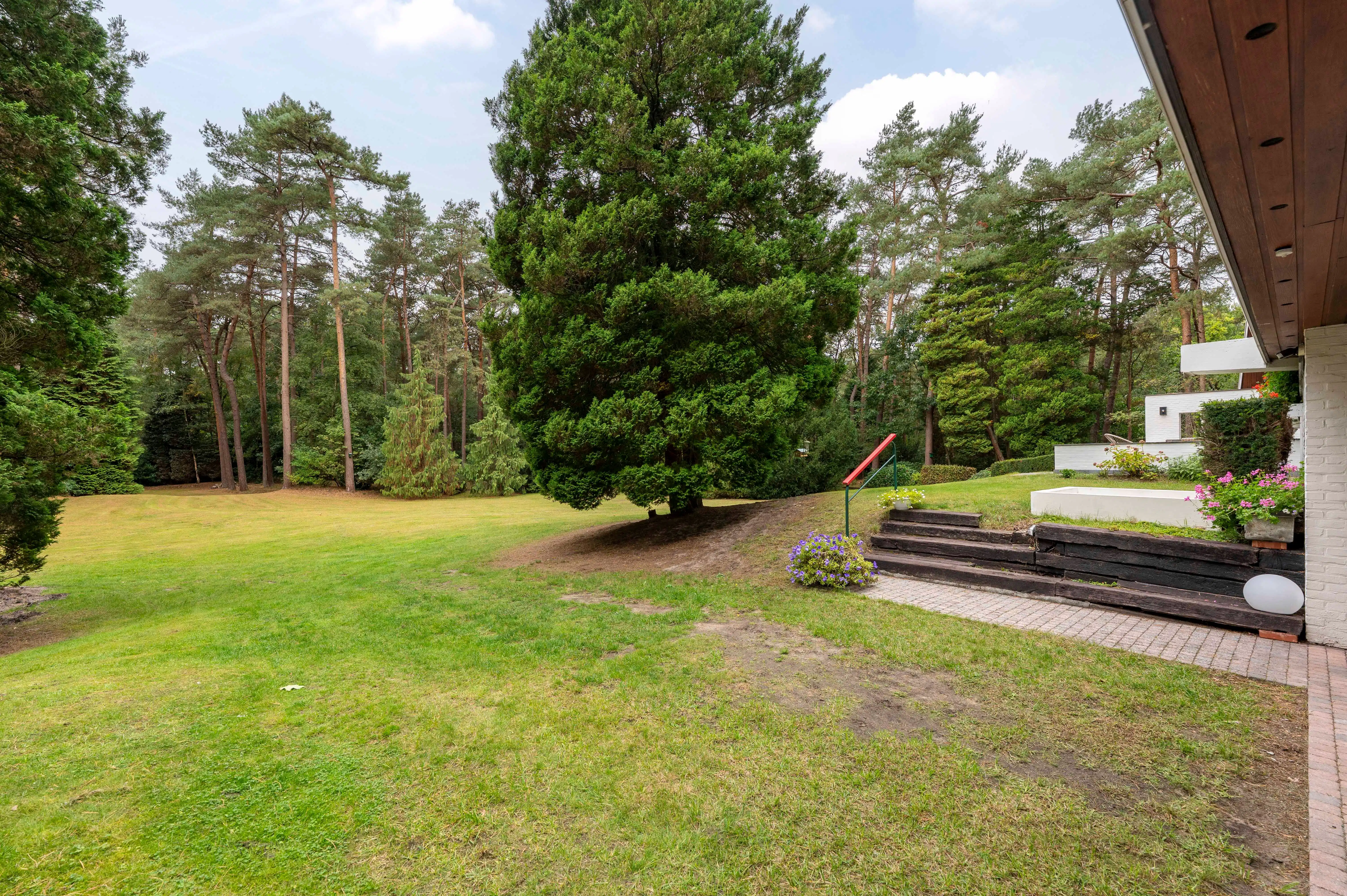 Architecturale sixtieswoning in volledige privacy en uniek natuurlandschap! foto 3