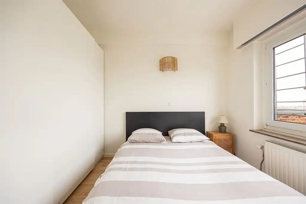 Gerenoveerd penthouse met riant dakterras foto 12