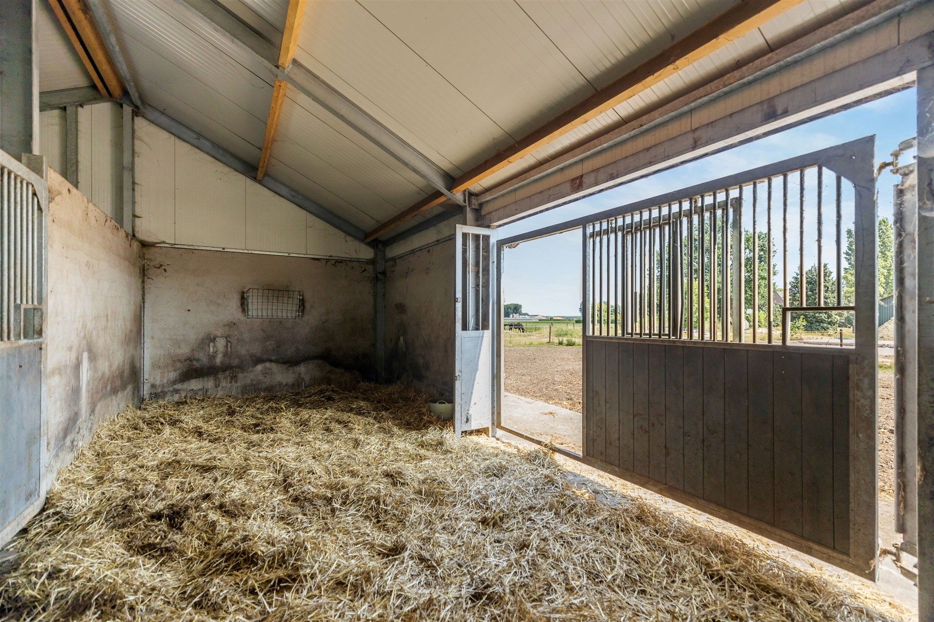 Prachtige tweewoonst met weilanden in de groene omgeving Heikant (NL) foto 66