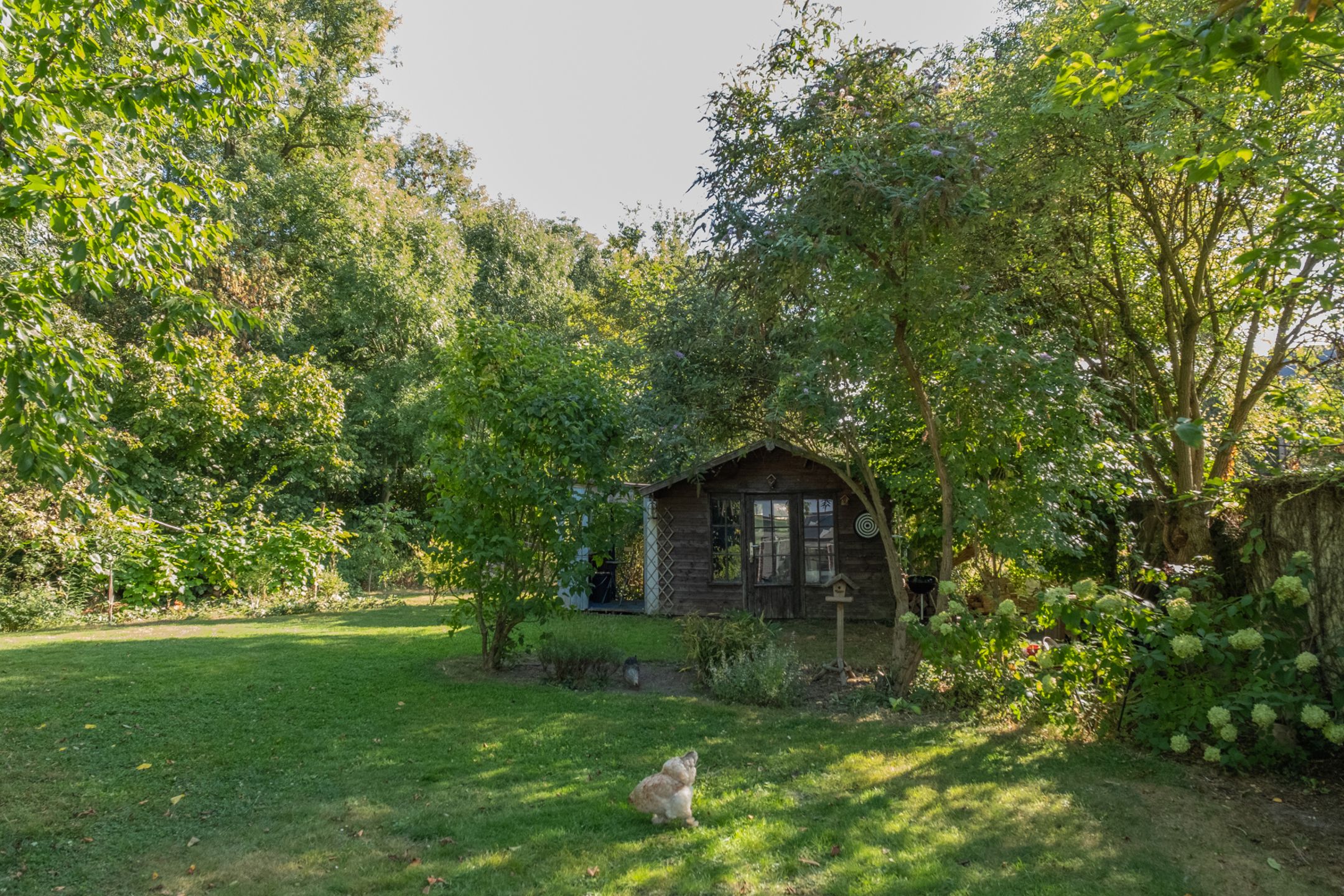 Huis te koop foto 30