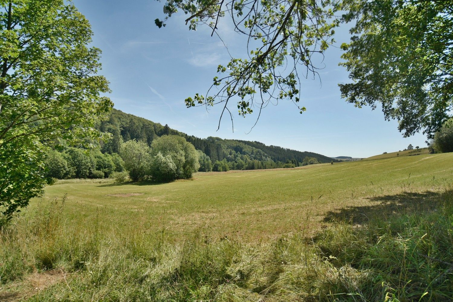 Domein van bijna 6 ha met een charmant landhuis en multifunctioneel vrijstaand bijgebouw op een idyllische, natuurrijke locatie te Amel foto 41