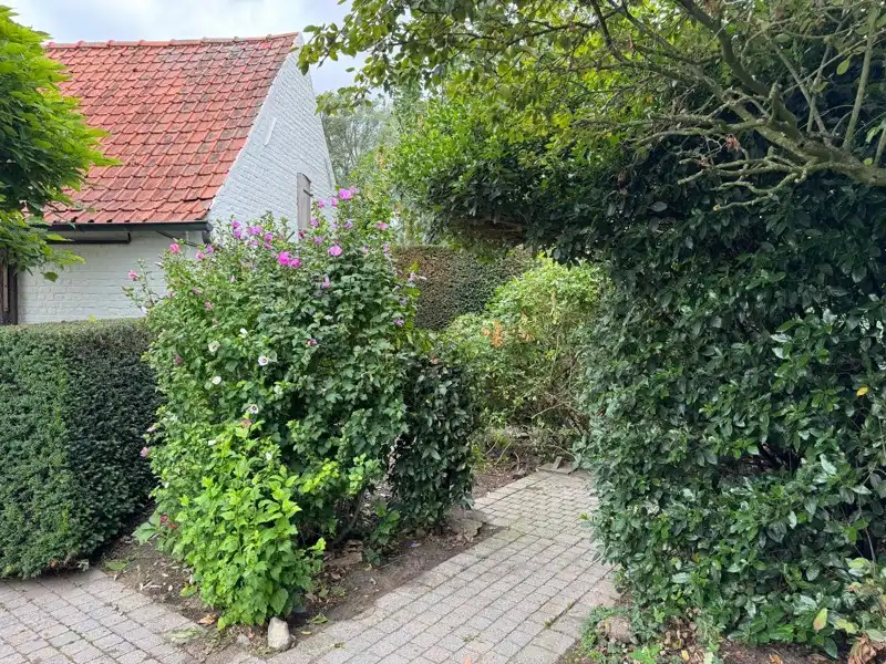 🏡 Uniek en authentiek pand vol karakter en mogelijkheden. Ruime woning, multifunctionele bijgebouwen en een charmante, omsloten tuin. foto 17