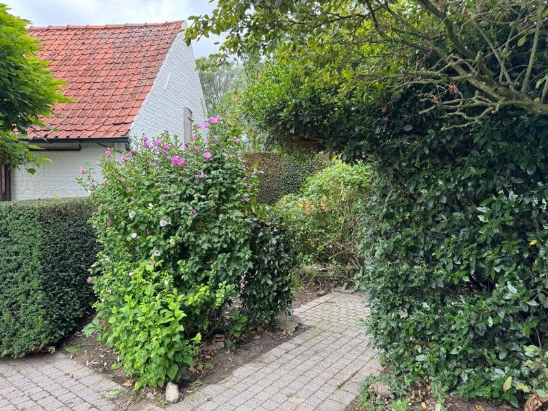 🏡 Uniek en authentiek pand vol karakter en mogelijkheden. Ruime woning, multifunctionele bijgebouwen en een charmante, omsloten tuin. foto 17