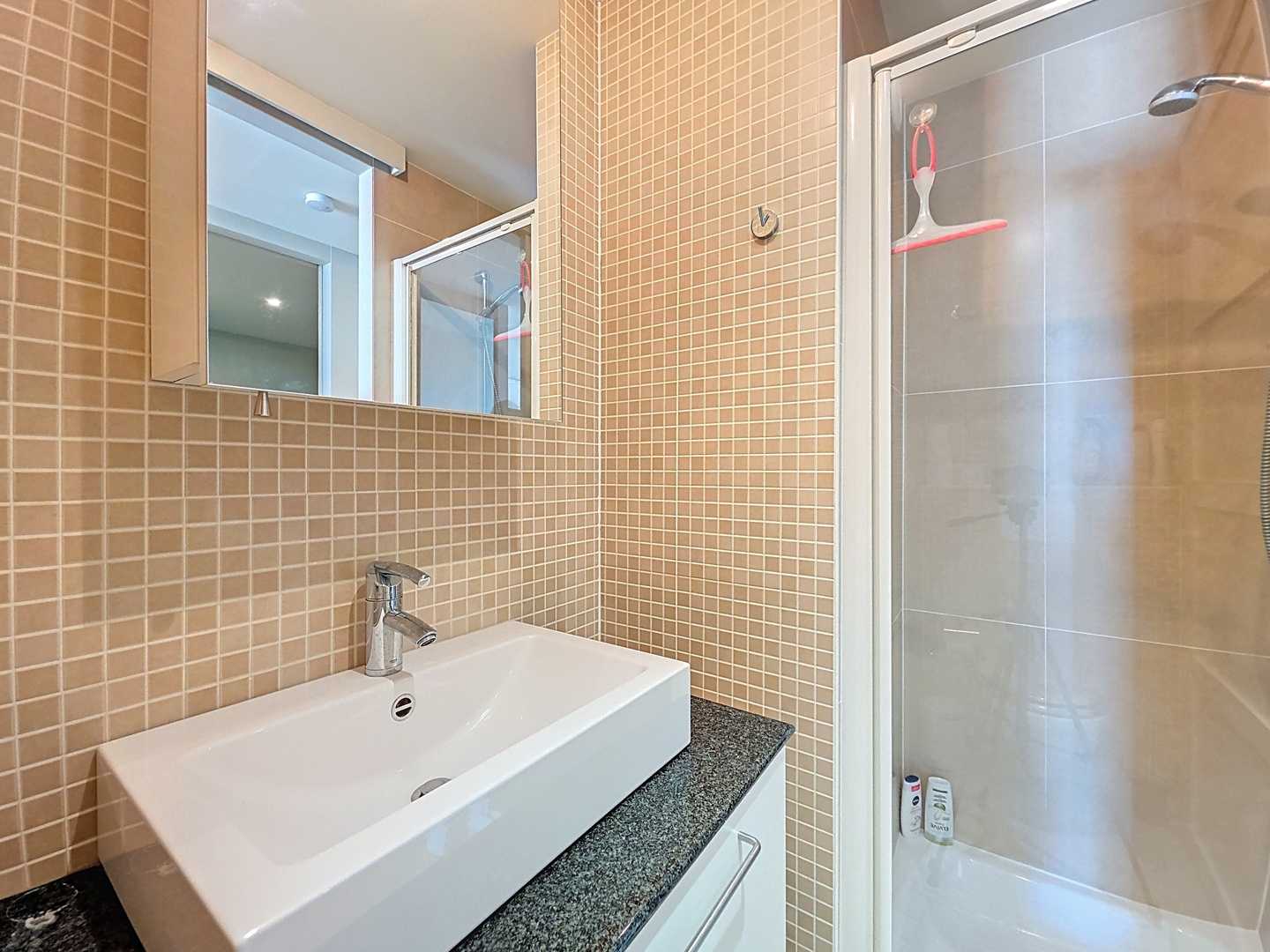 Instapklaar appartement met frontaal zeezicht te Nieuwpoort-Bad foto 6