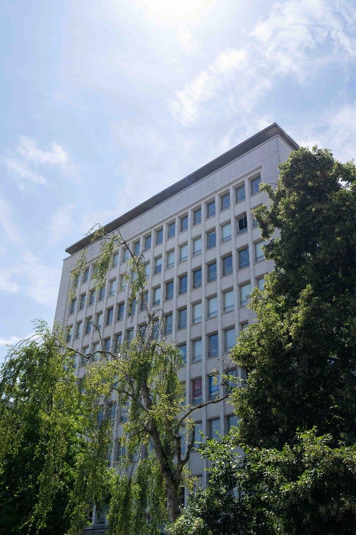 Een creatieve thuishaven op de iconische Mechelsesteenweg - Oval Sky foto 16