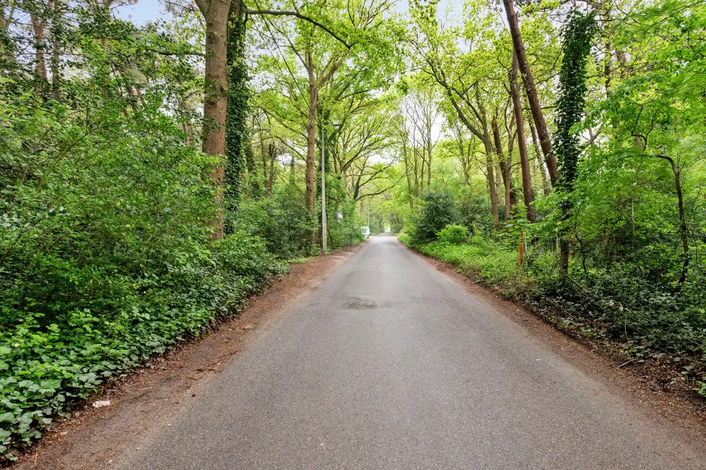 Perceel bosgrond van 1.000m² foto 4