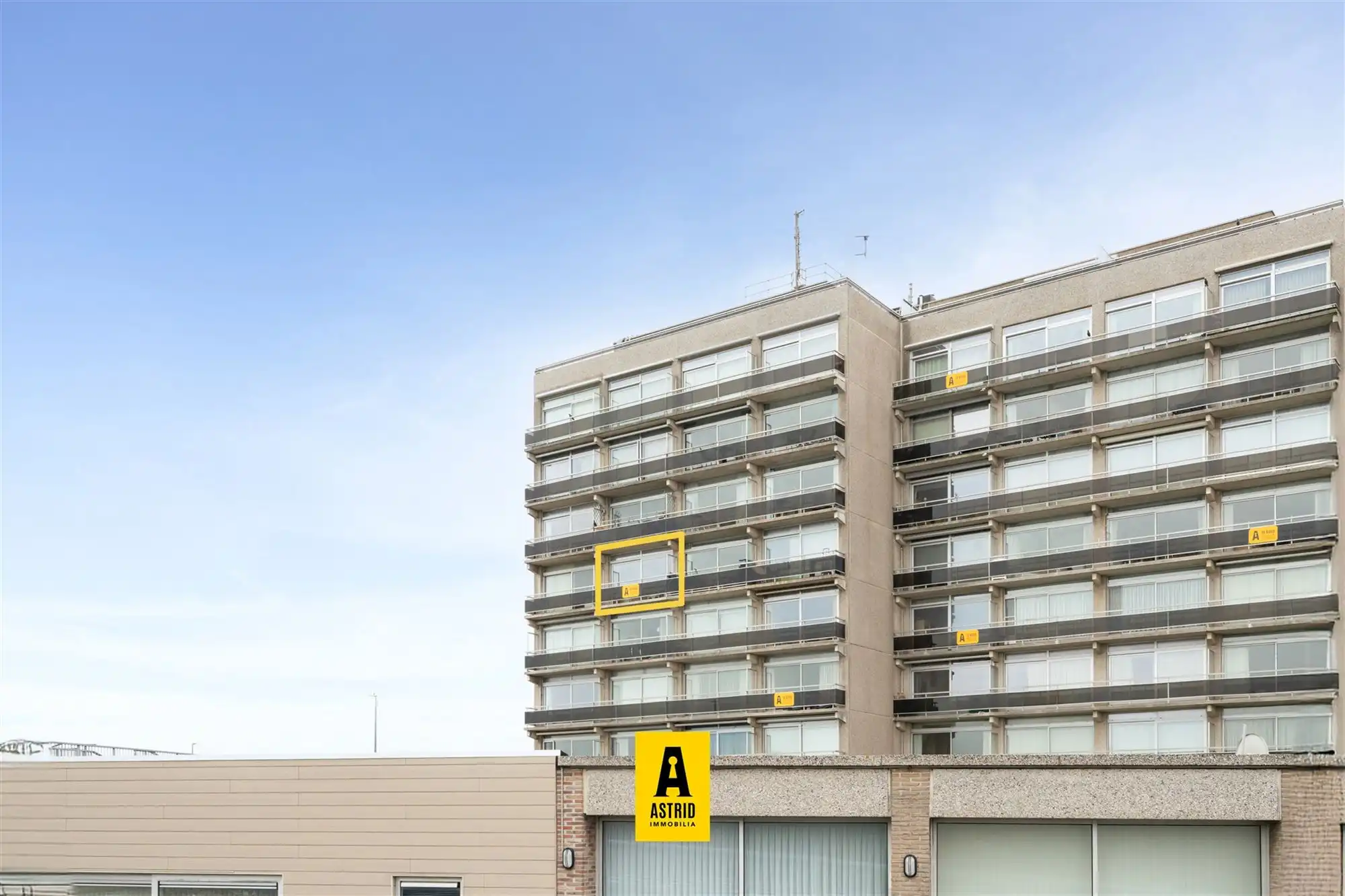 Studio met zeezicht én zon! foto 13