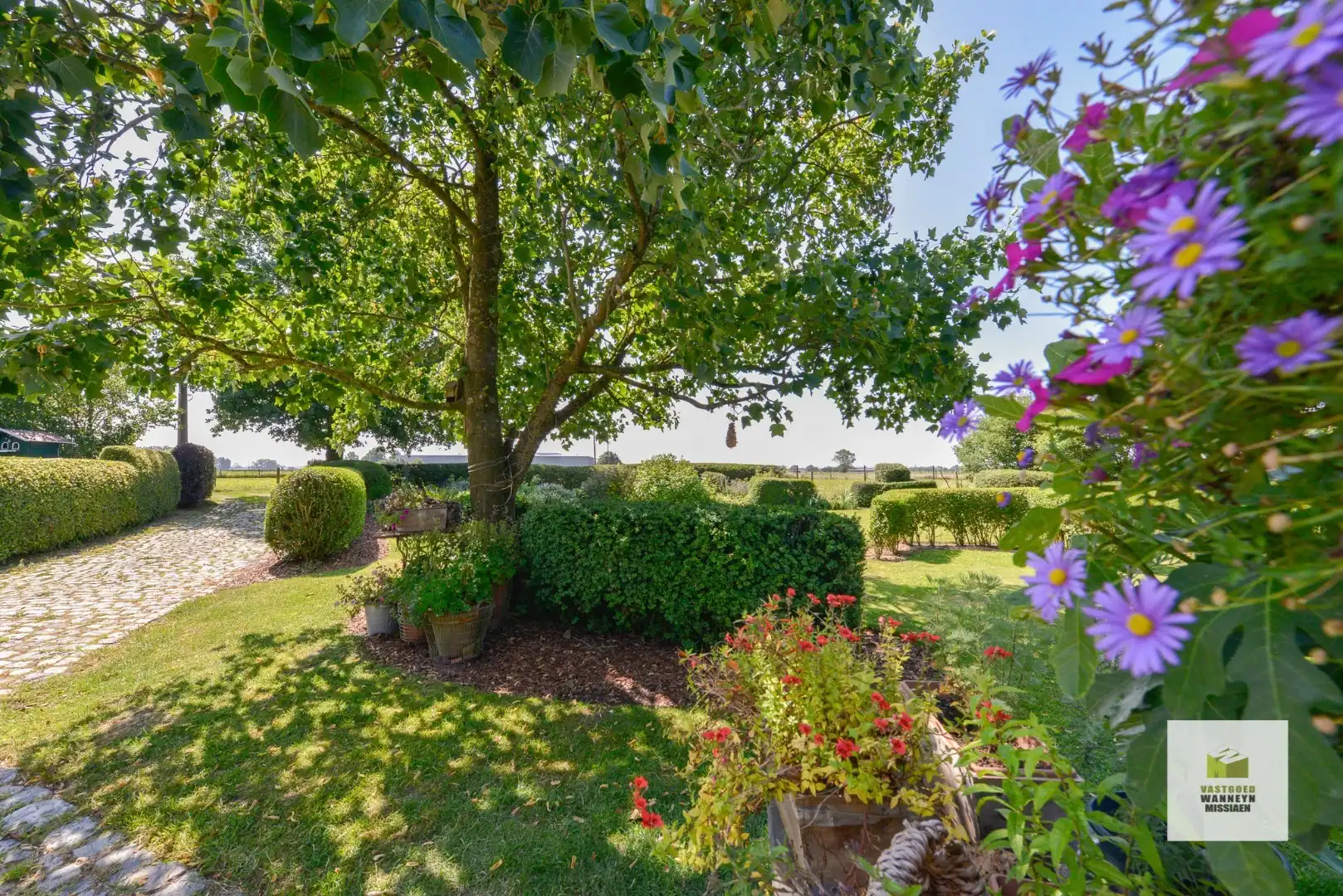 Idyllisch gelegen woning op 3.928 m2 met natuurlijke zwemvijver en 360° vergezicht foto 6