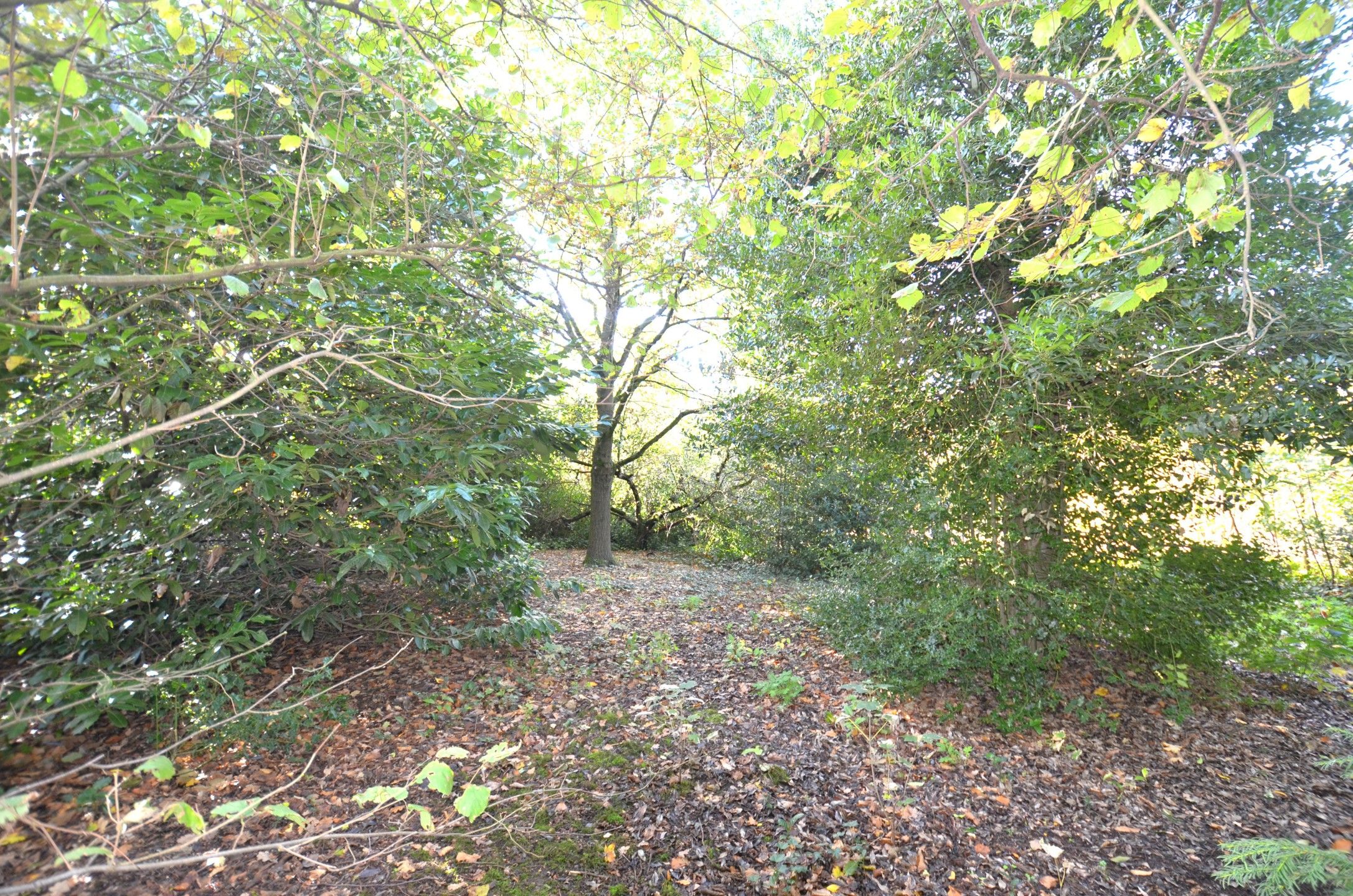 Af te werken woning met 2 slaapkamers foto 22