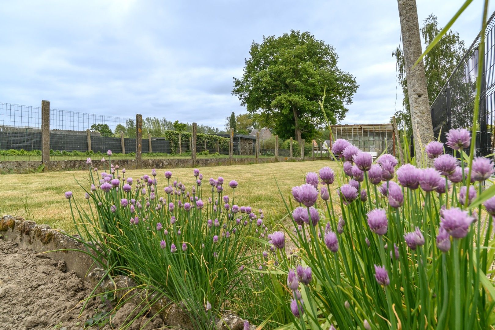 Te renoveren gezinswoning met tuin te Mere foto 14
