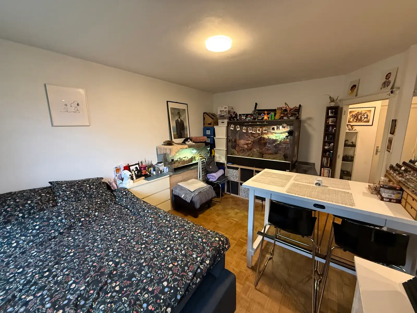 Lichtrijk 1-slaapkamerappartement met terras in Jette foto 9