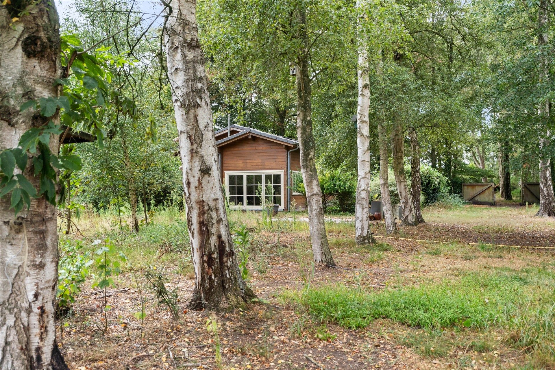 Ruime vakantiewoning op 4.609m² grond foto 4