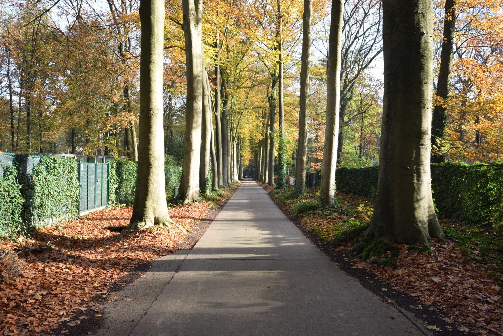 Residentieel gelegen perceel bouwgrond in één van de mooiste dreven van Aalter foto 2