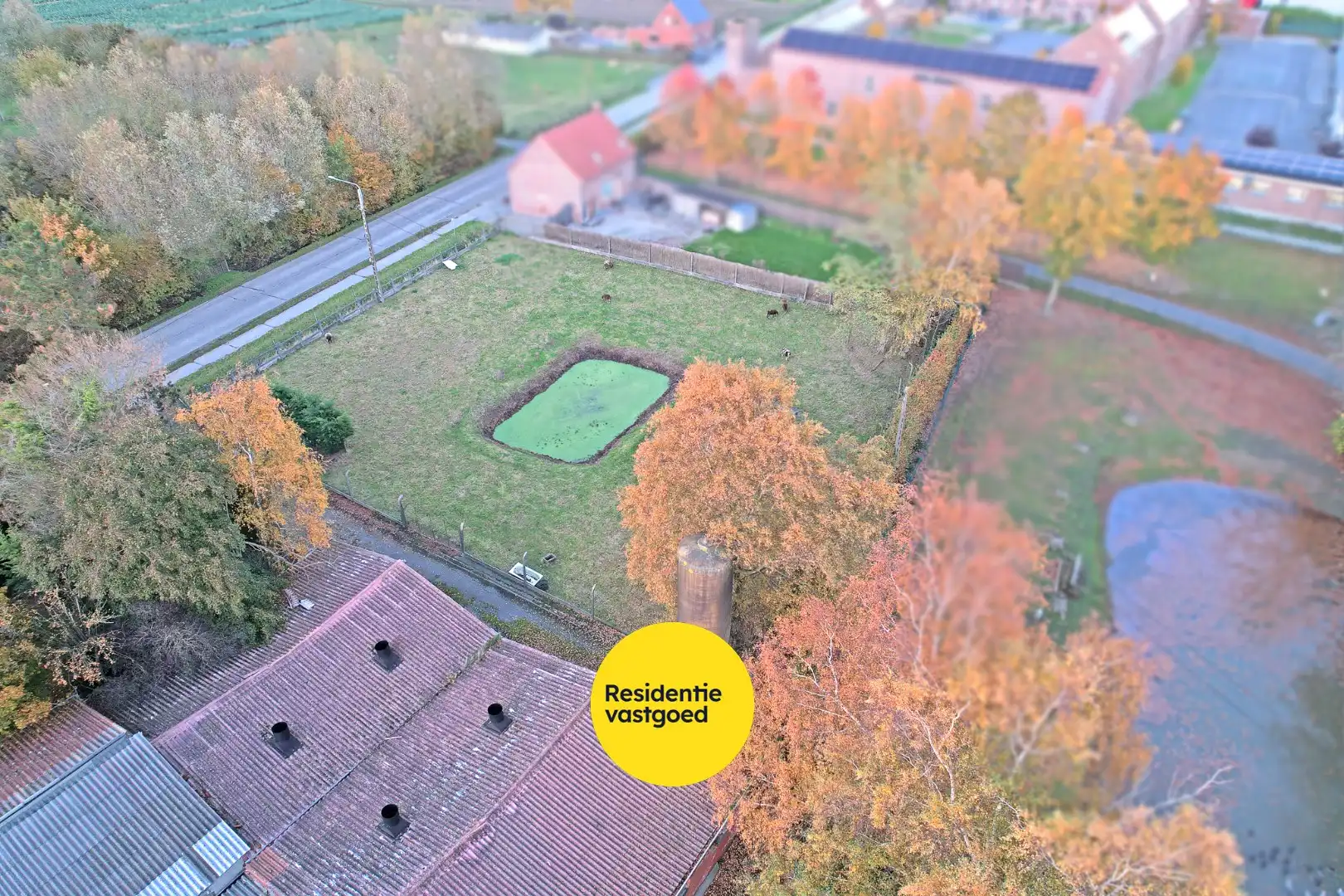 Te renoveren boerderij op een perceel van 7.066m² met loods en diverse bijgebouwen foto 18