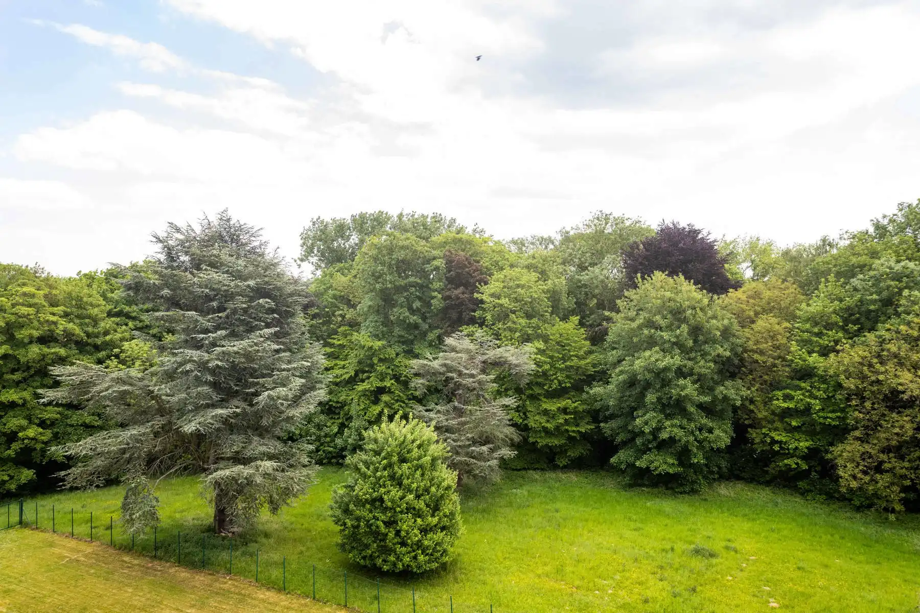 Penthouse te koop foto 25