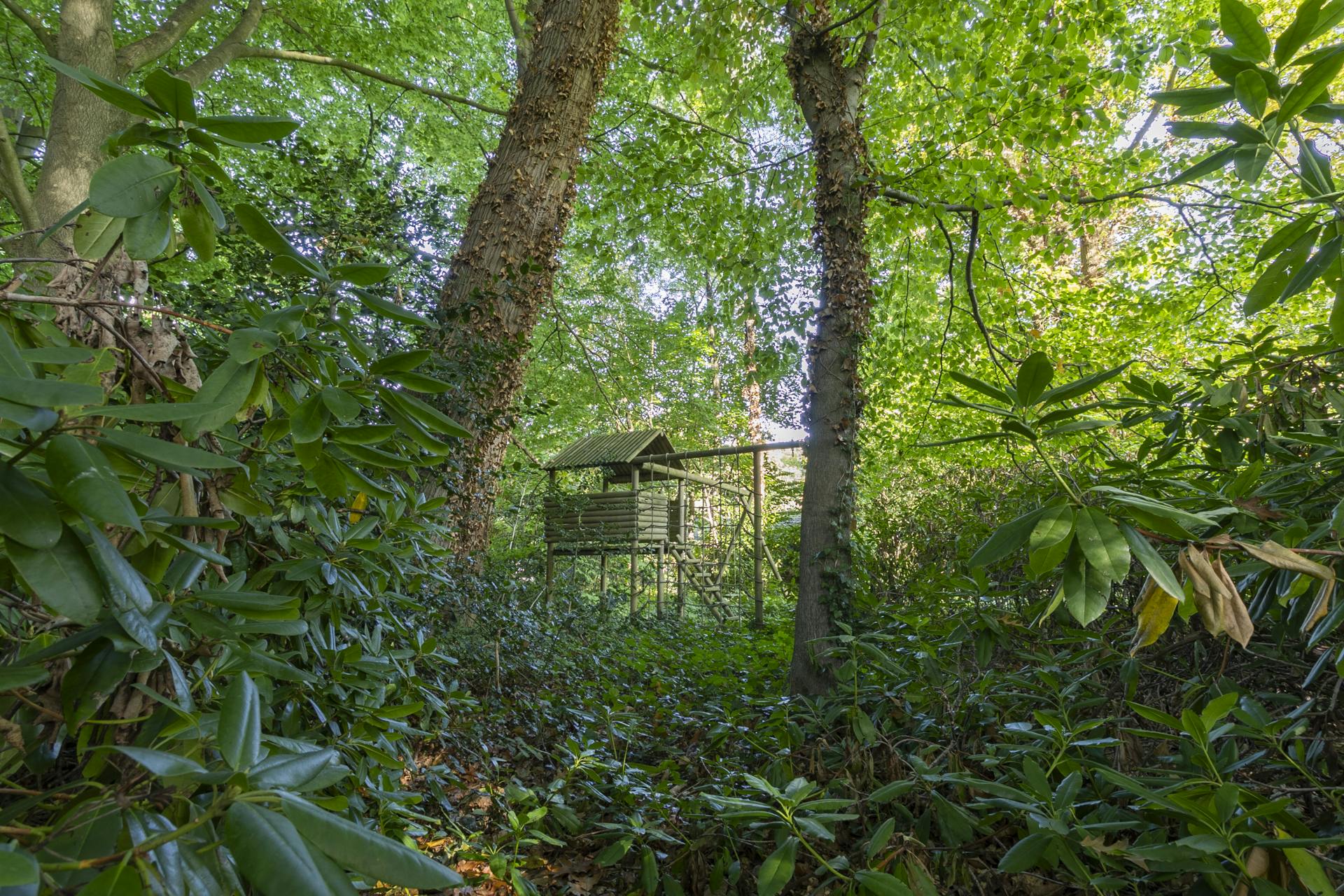 Architectuurwoning door bOb Van Reeth op 2.303m² in Schilde foto 31