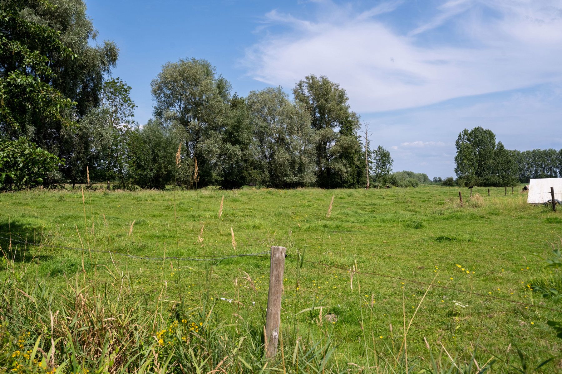 Verder af te werken nieuwbouwwoning op landelijke locatie foto 4