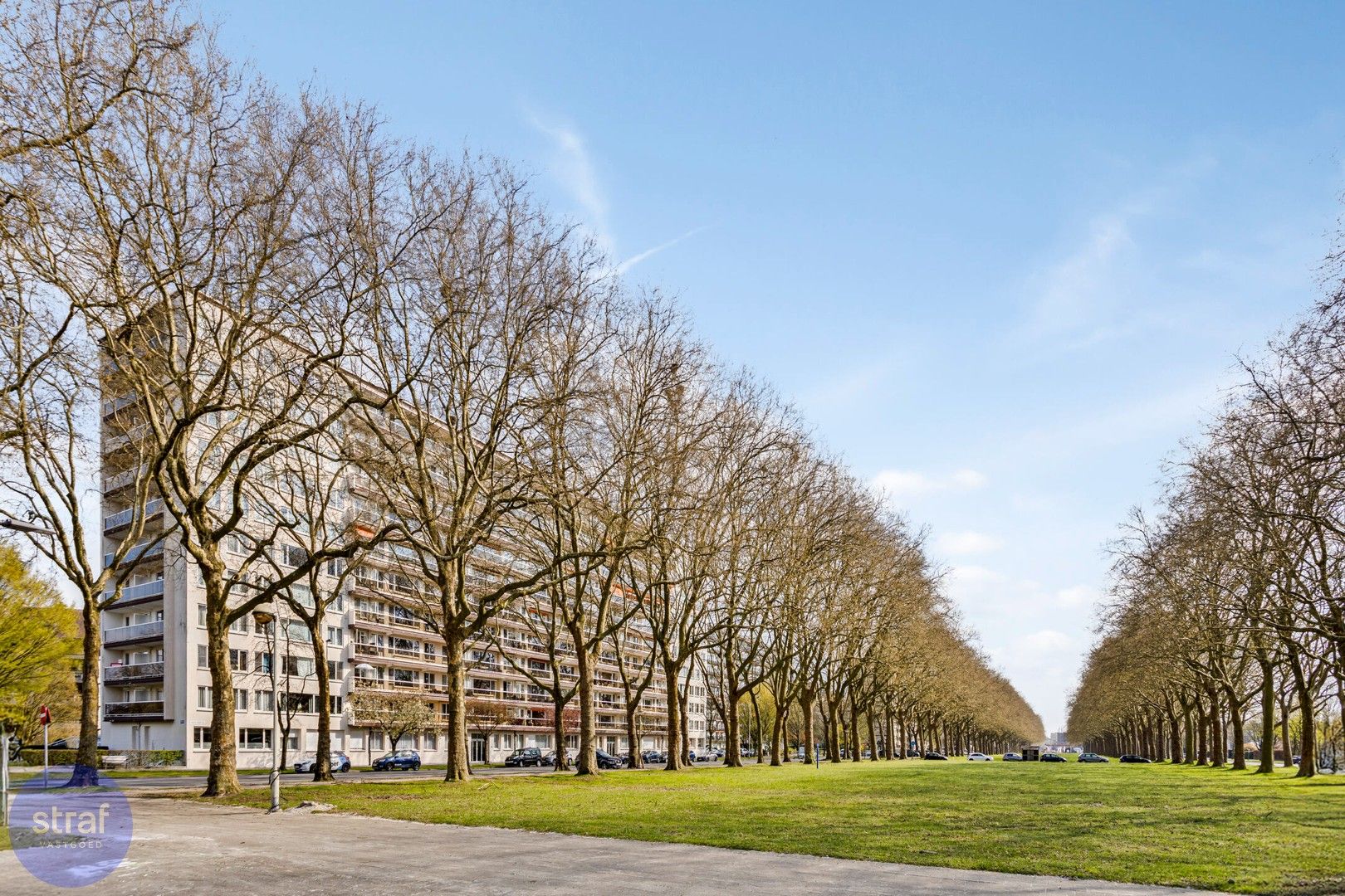 Gerenoveerd appartement met 3 slaapkamers op de 6de verdieping foto 15