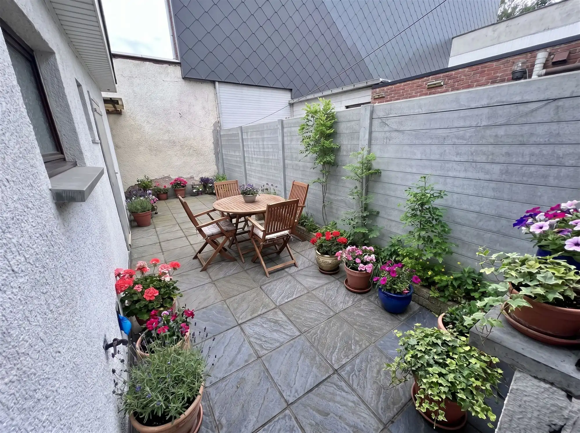 Huis met 3 slaapkamers en koer foto 13