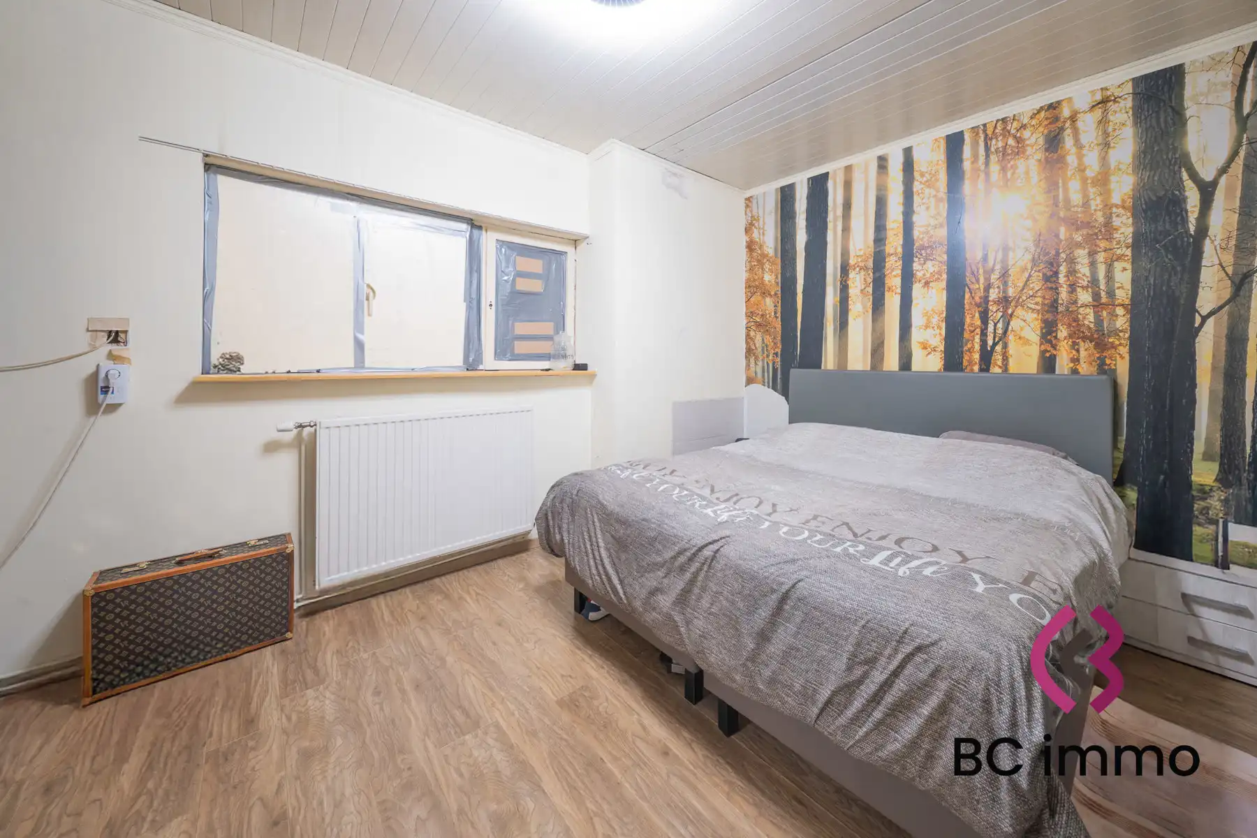 Grote woning met studio, tuin en extra kamers foto 11