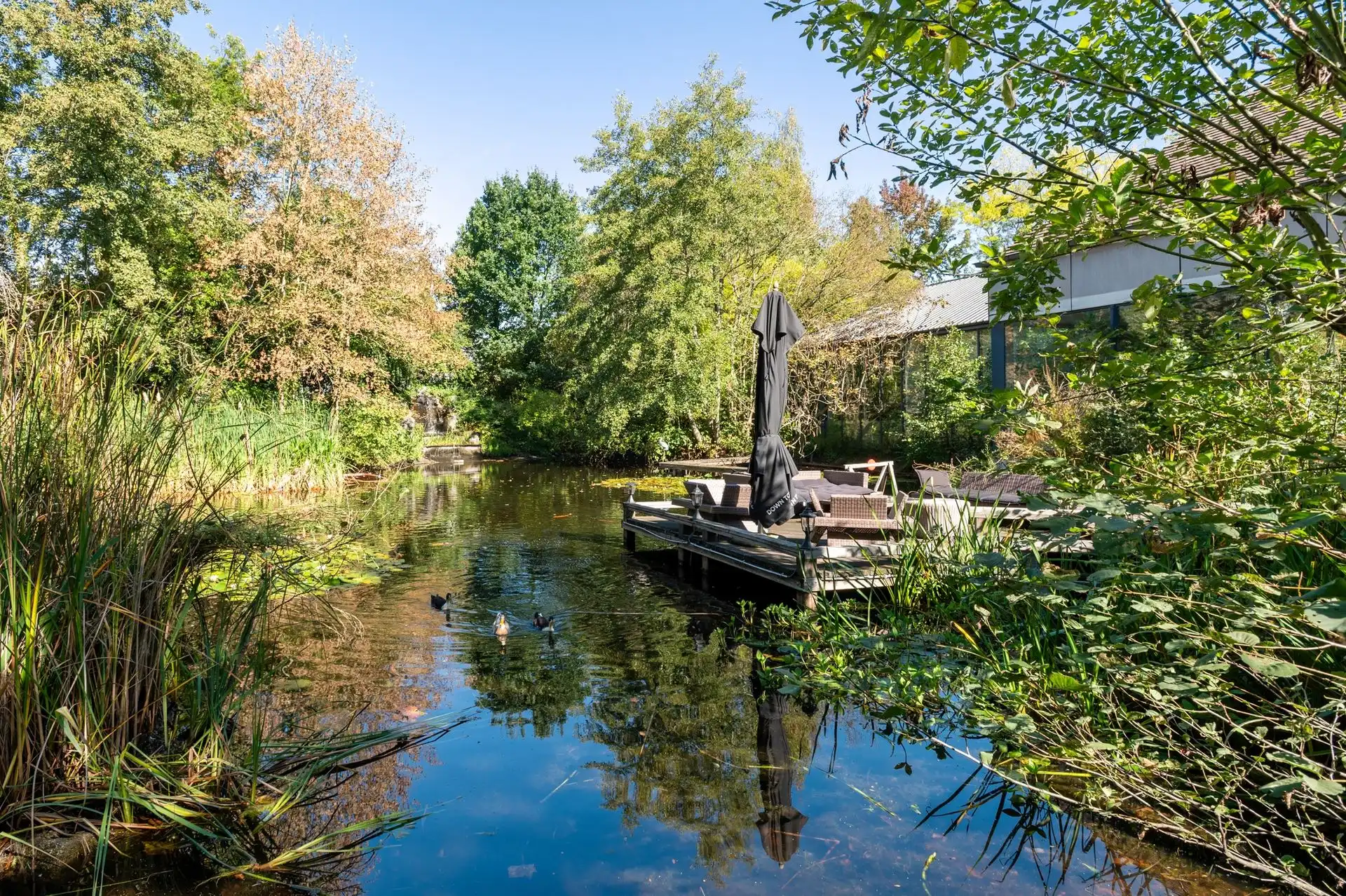 EXCLUSIEF DOMEIN TE KOOP foto 31
