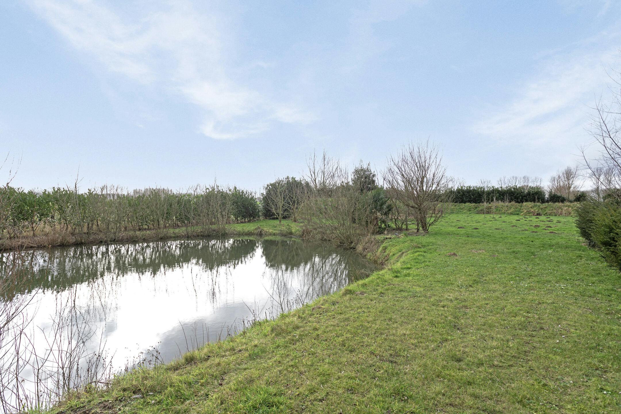 Loods met woonst (zonder functiewijziging) te Moerkerke. foto 14