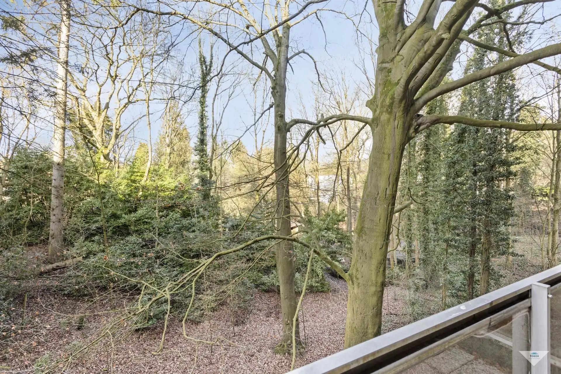 Aangename studio met groot terras en groen uitzicht foto 9