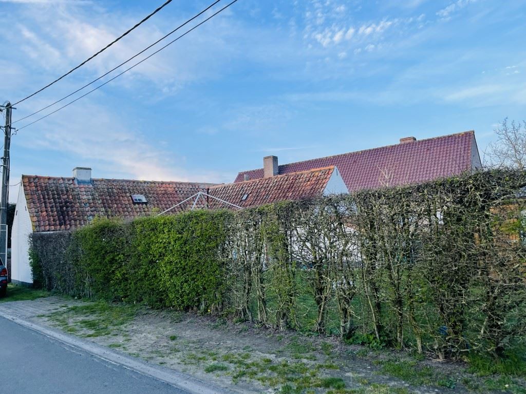 Sint-Rita Moerkerke Idyllische hoevetje op 295 m2 grond, volledig omheind, 3 slaapkamers foto 22