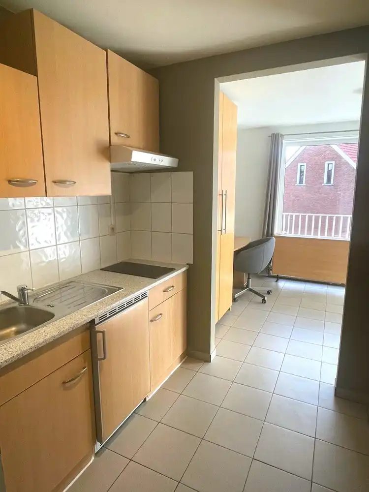 Deels gemeubelde studio met zonnig terras foto 3