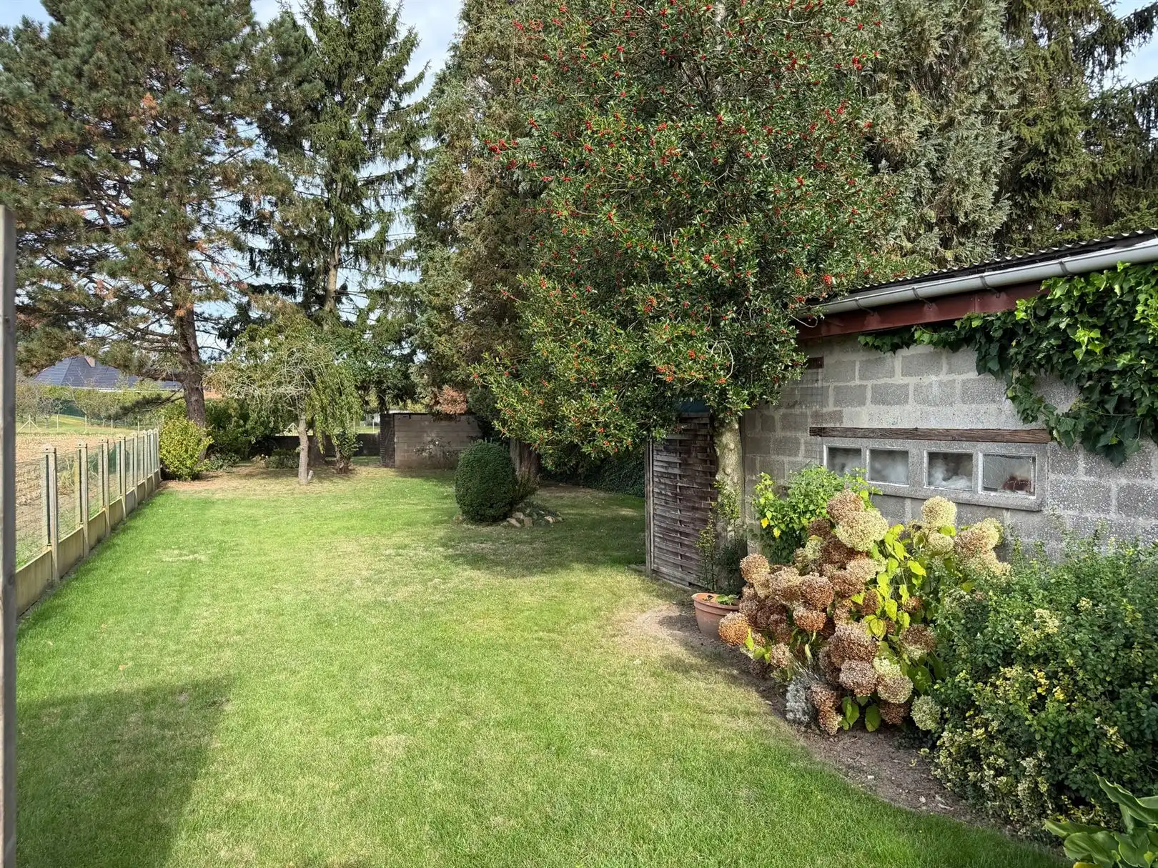 Huis foto 32