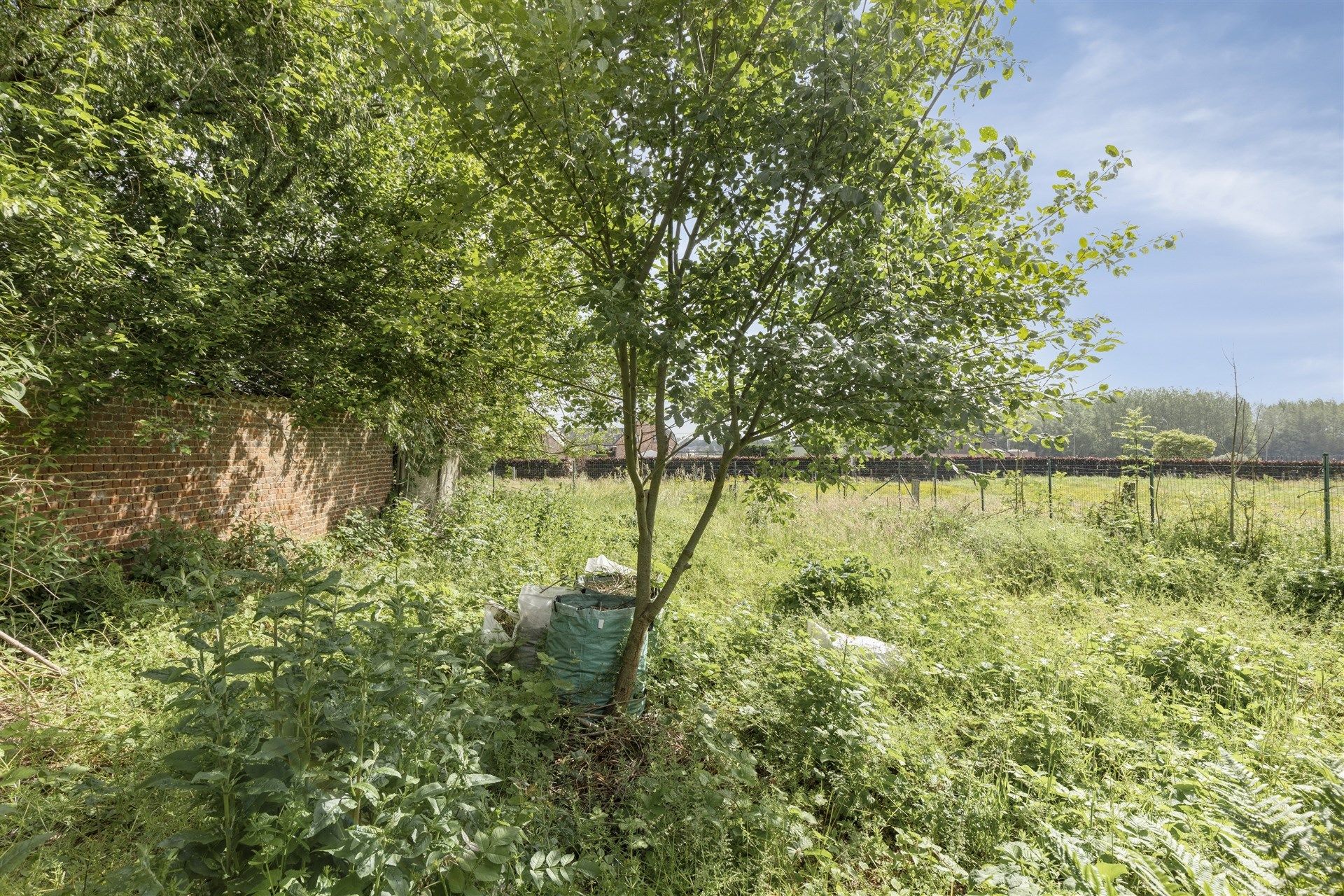 Op te richten woning te Vlierzele foto 14