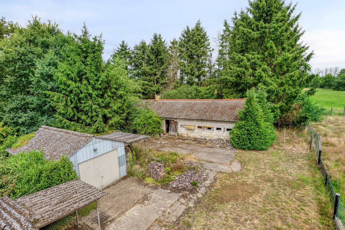 Ruim ingedeelde gelijkvloers woning met 4 slpks en bijgebouw/stal op 32 are foto 4