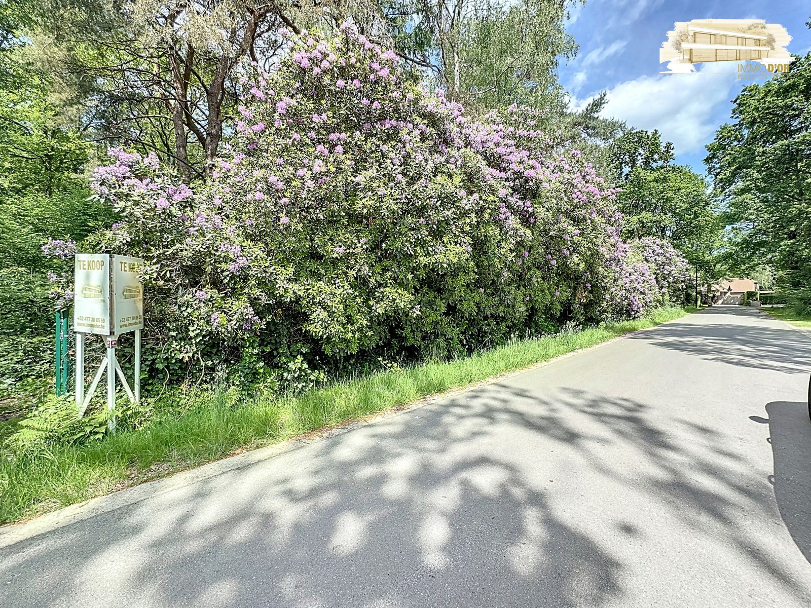 Bouwgrond gelegen in gegeerde doodlopende straat! foto 7