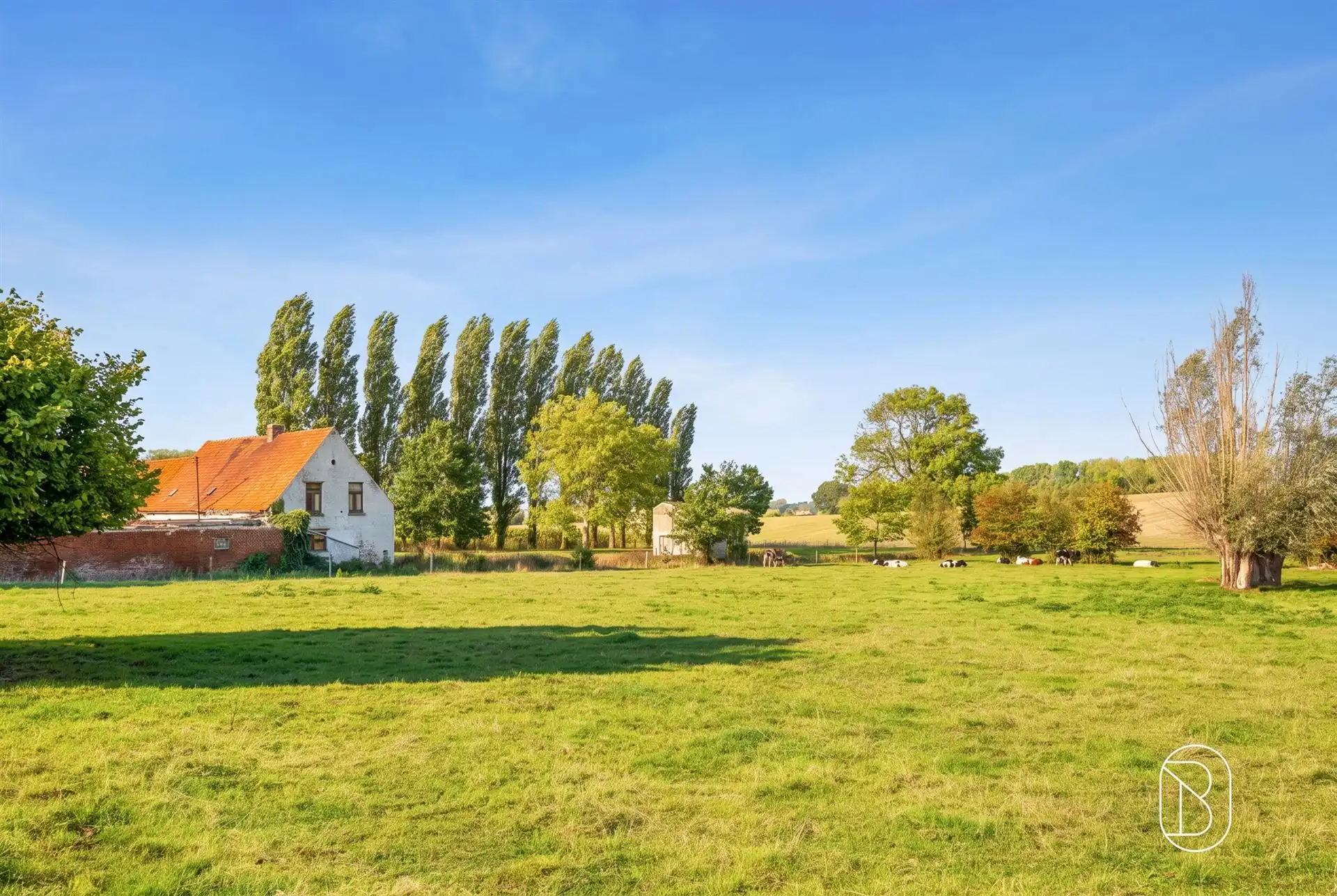 Uniek gelegen (af te breken) hoeve op maar liefst 8.282 m² foto 19
