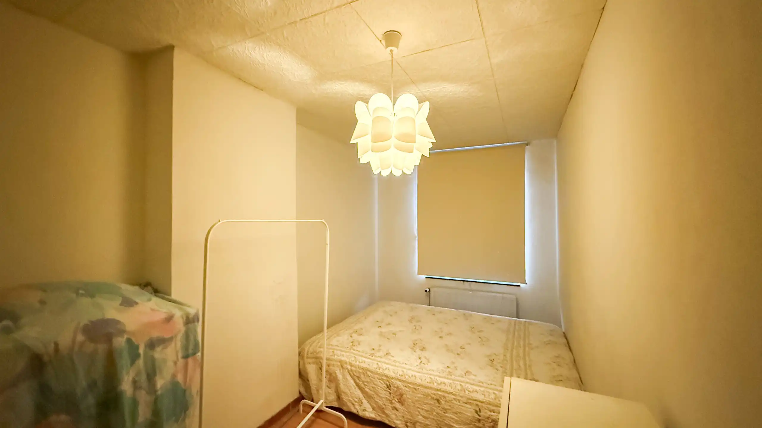 Handelspand met woonst 3slpk, te koop in HZ foto 28