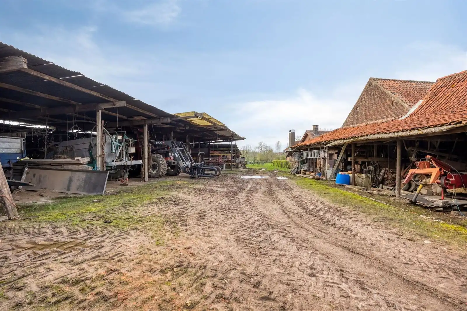 Alleenstaande woning met schuur en omliggende weiden  foto 19