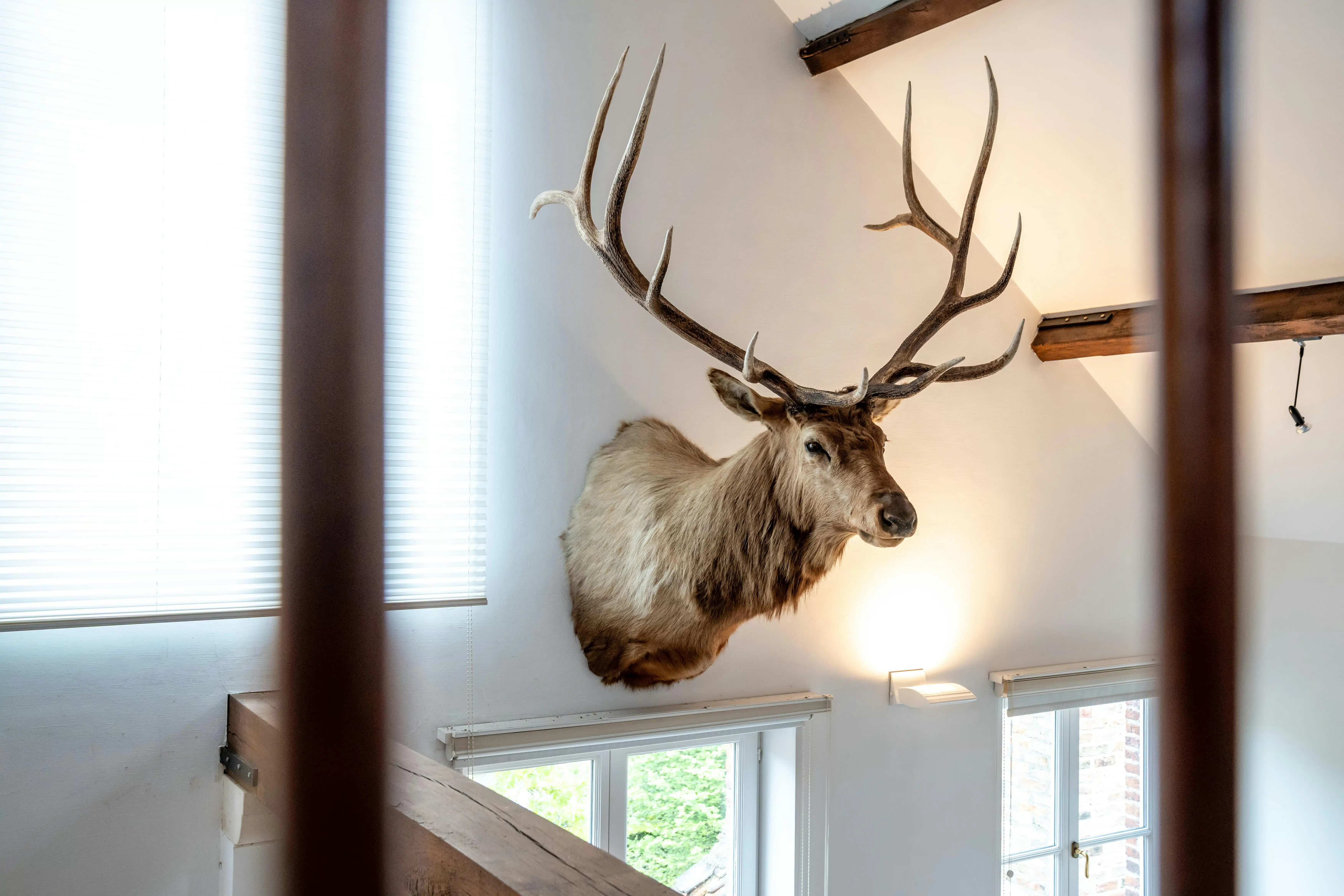 Exclusief herenhuis te koop in hartje brugge foto 17