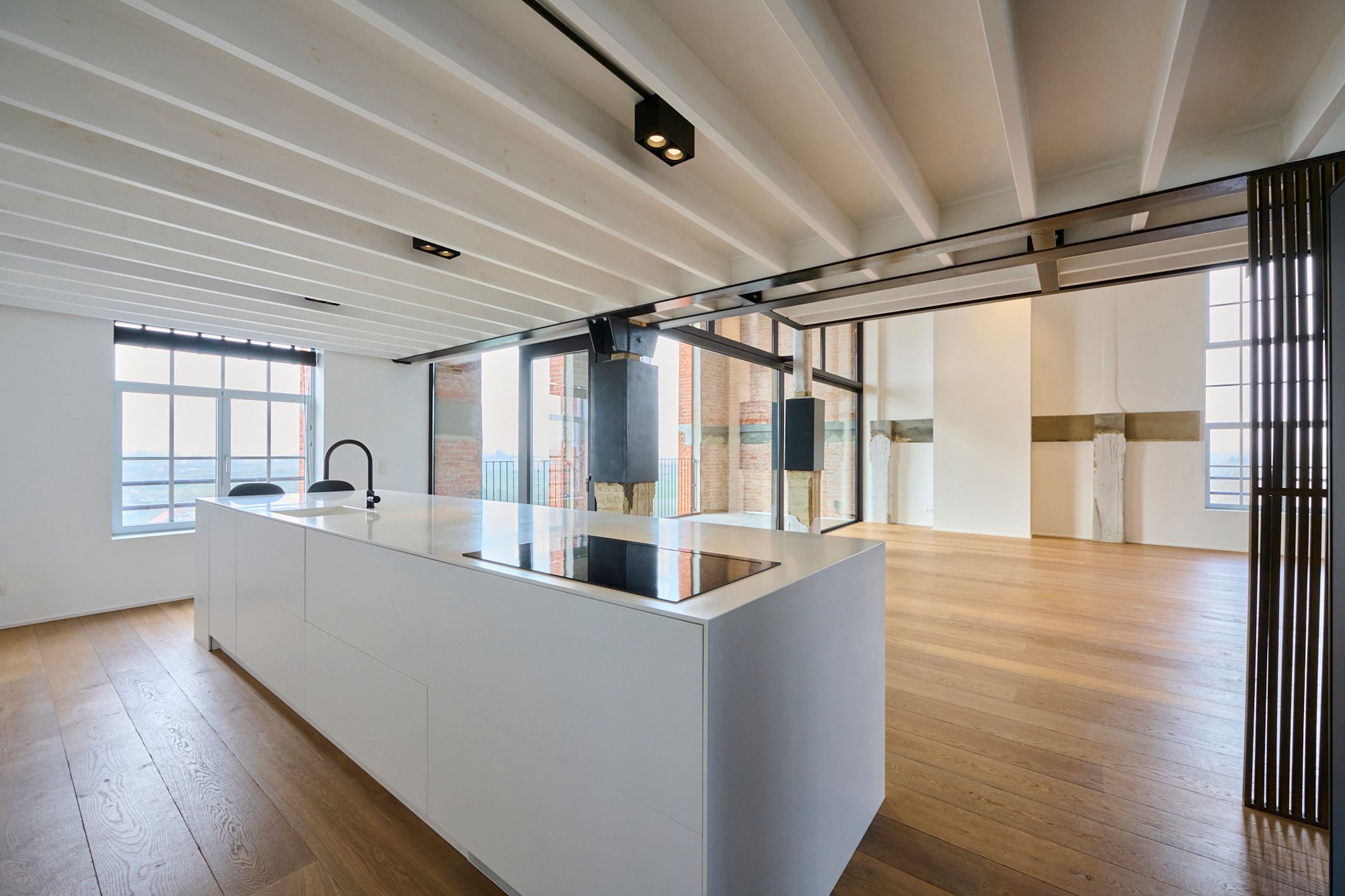 RIANTE PENTHOUSE-LOFT 263m² foto 5
