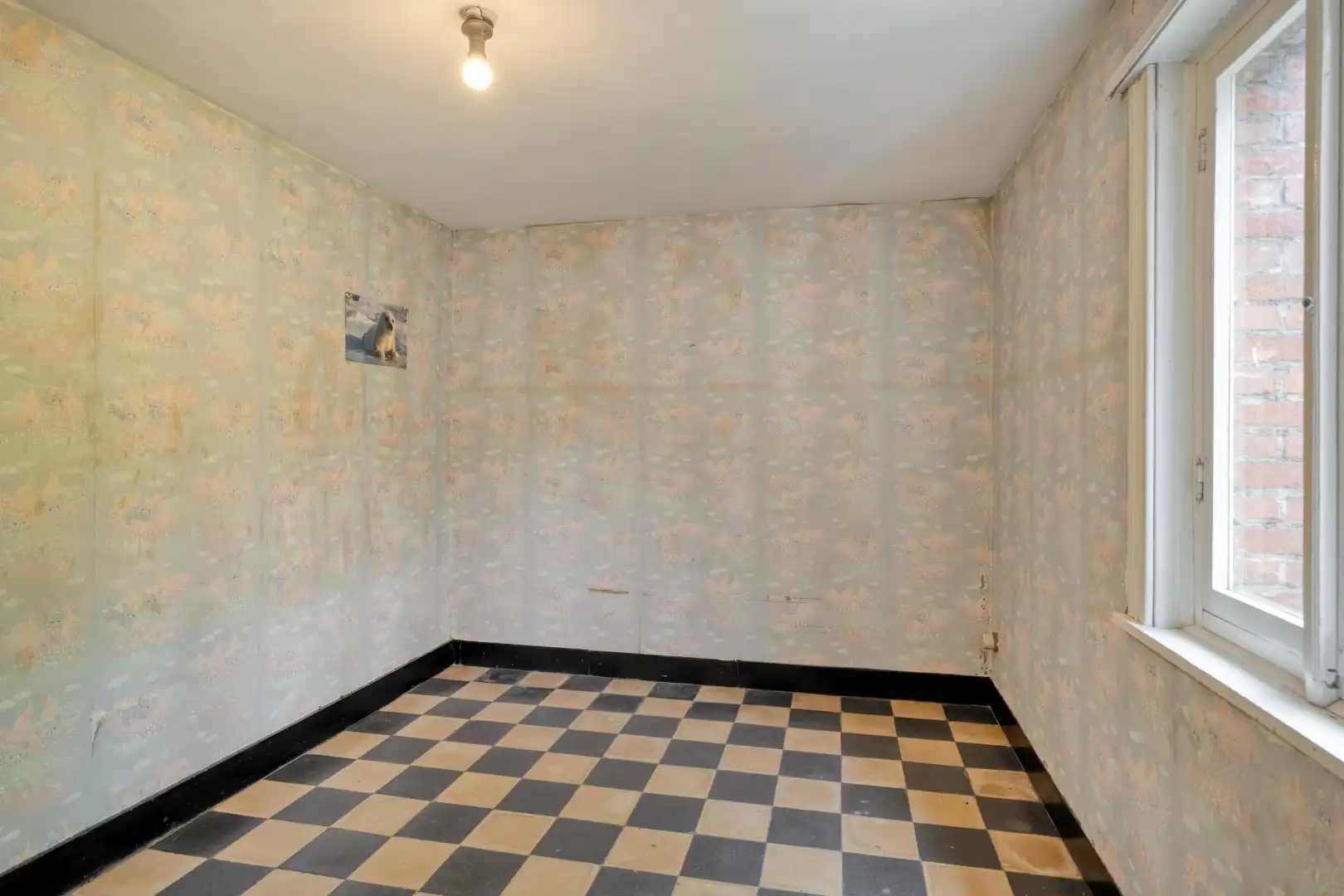 Te renoveren woning, rustig gelegen op een zonnig perceel van 767 m² te Olen-Centrum ! foto 19
