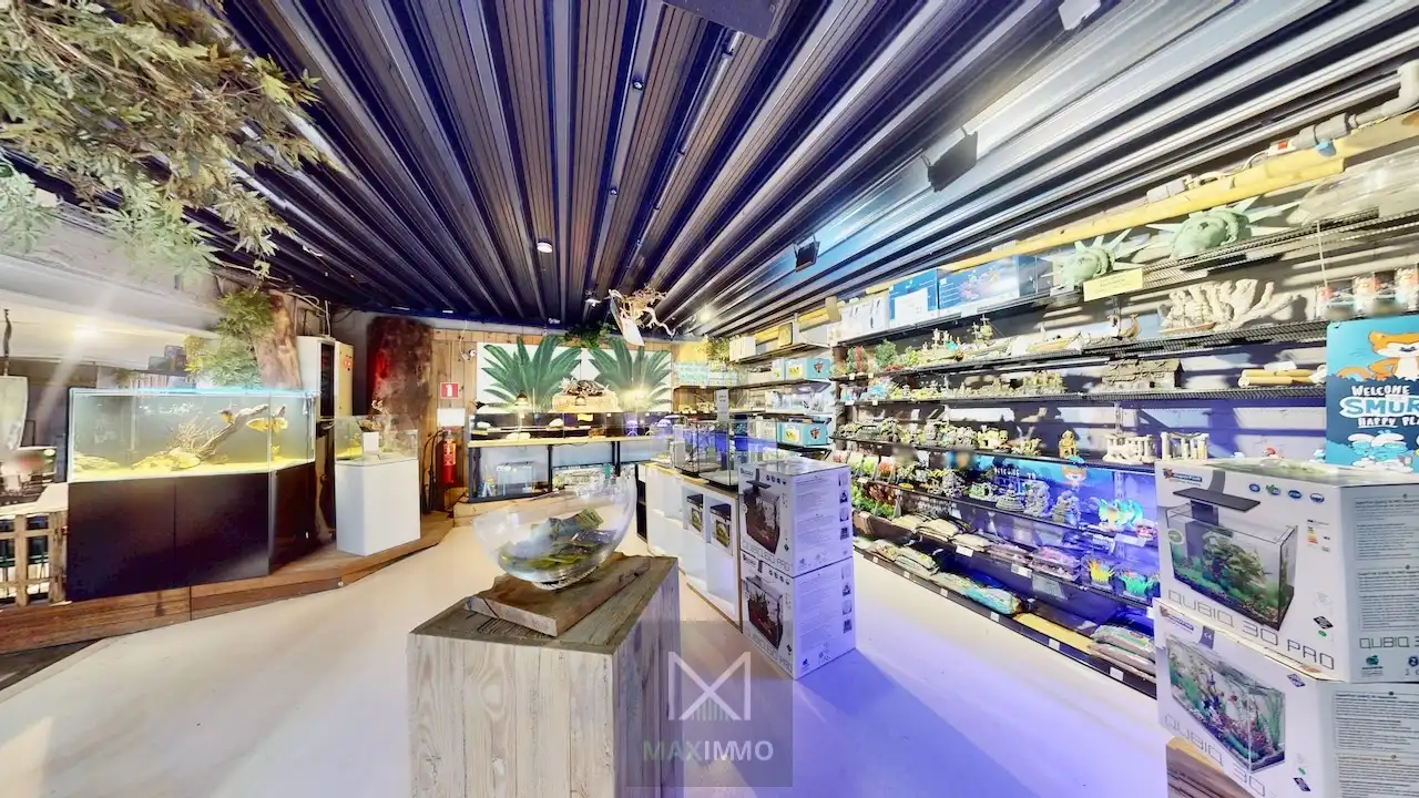 Het grootste handelspand van de Rijselstraat – meer dan 630 m² commerciële mogelijkheden foto 3