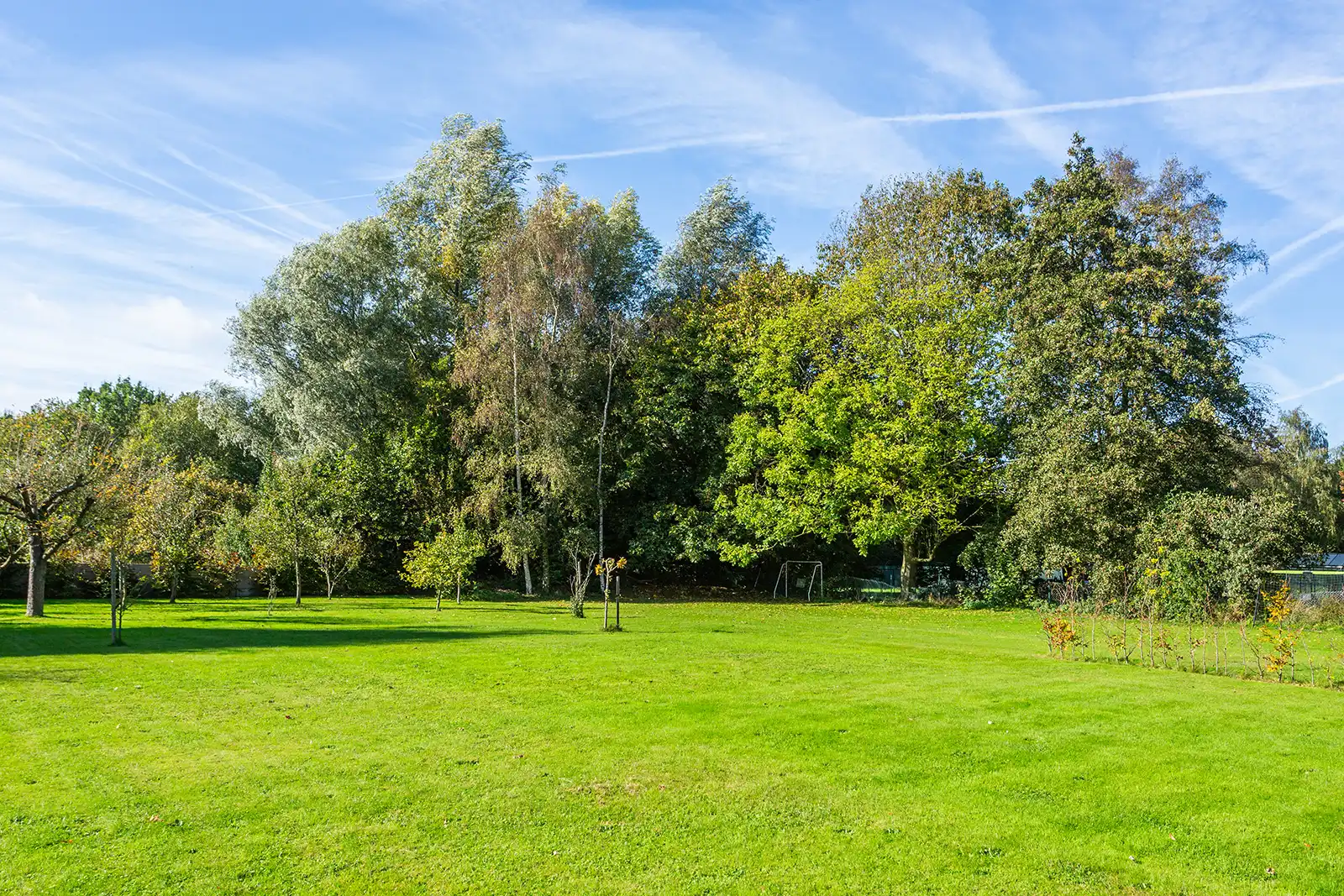 Een verborgen parel op 2.010 m² in Wilrijk foto 32