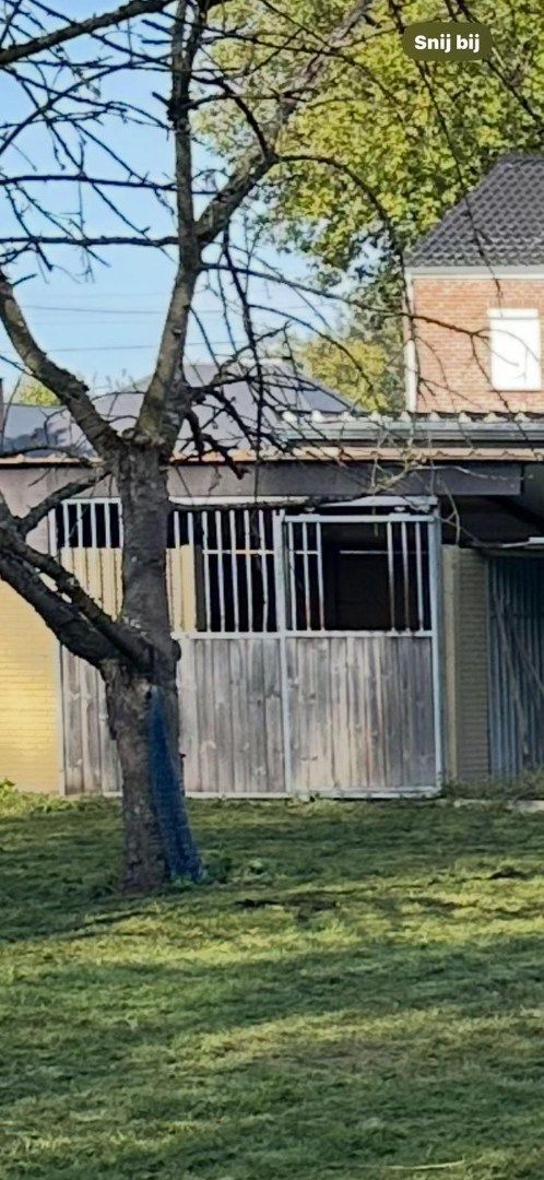 Rustig gelegen gezinswoning met 5 slaapkamers en ruime tuin te Tongeren foto 27