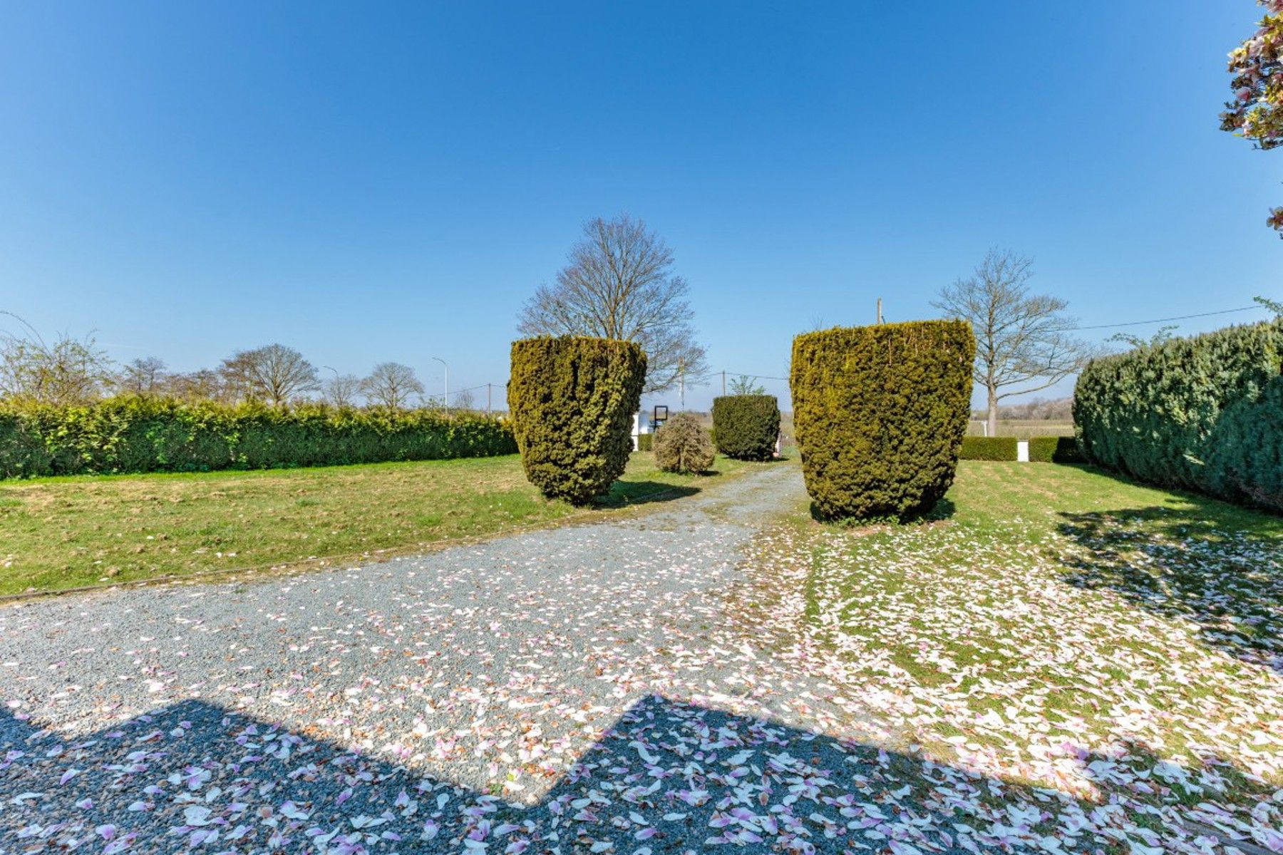 Ruime villa met 5 slaapkamers en zwembad foto 5