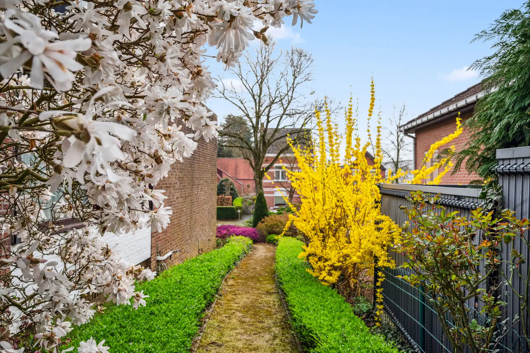 Woning met praktijk- of kangoeroeruimte te HEIST-OP-DEN-BERG foto 25