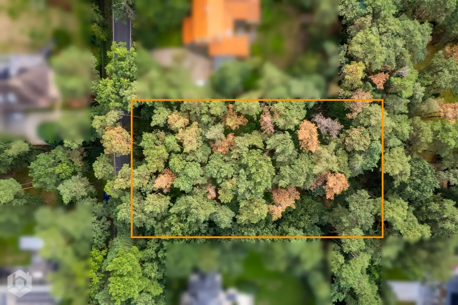 RUIME BOUWGROND VAN 2.690 M² VOOR OPEN BEBOUWING IN BOSRIJKE VILLABUURT foto 6