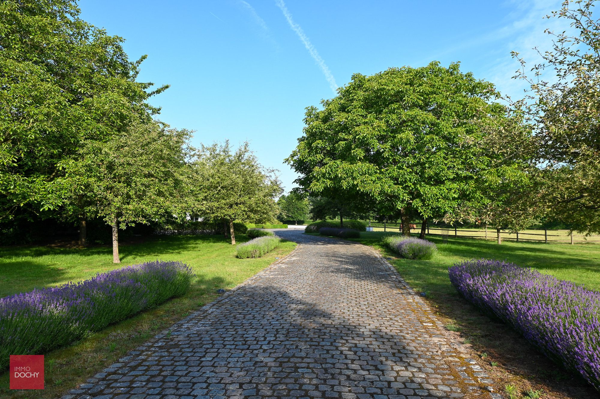 Ruim en rustig gelegen luxueus landhuis foto 5