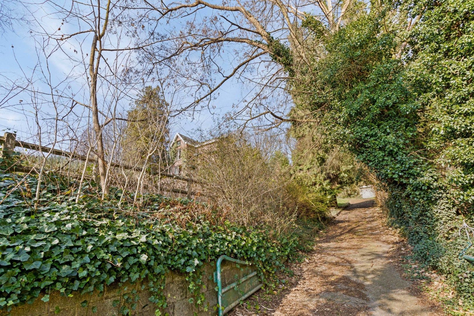 Uniek project: te renoveren woning op een perceel van bijna 1 hectare in Kessel-Lo. foto 3