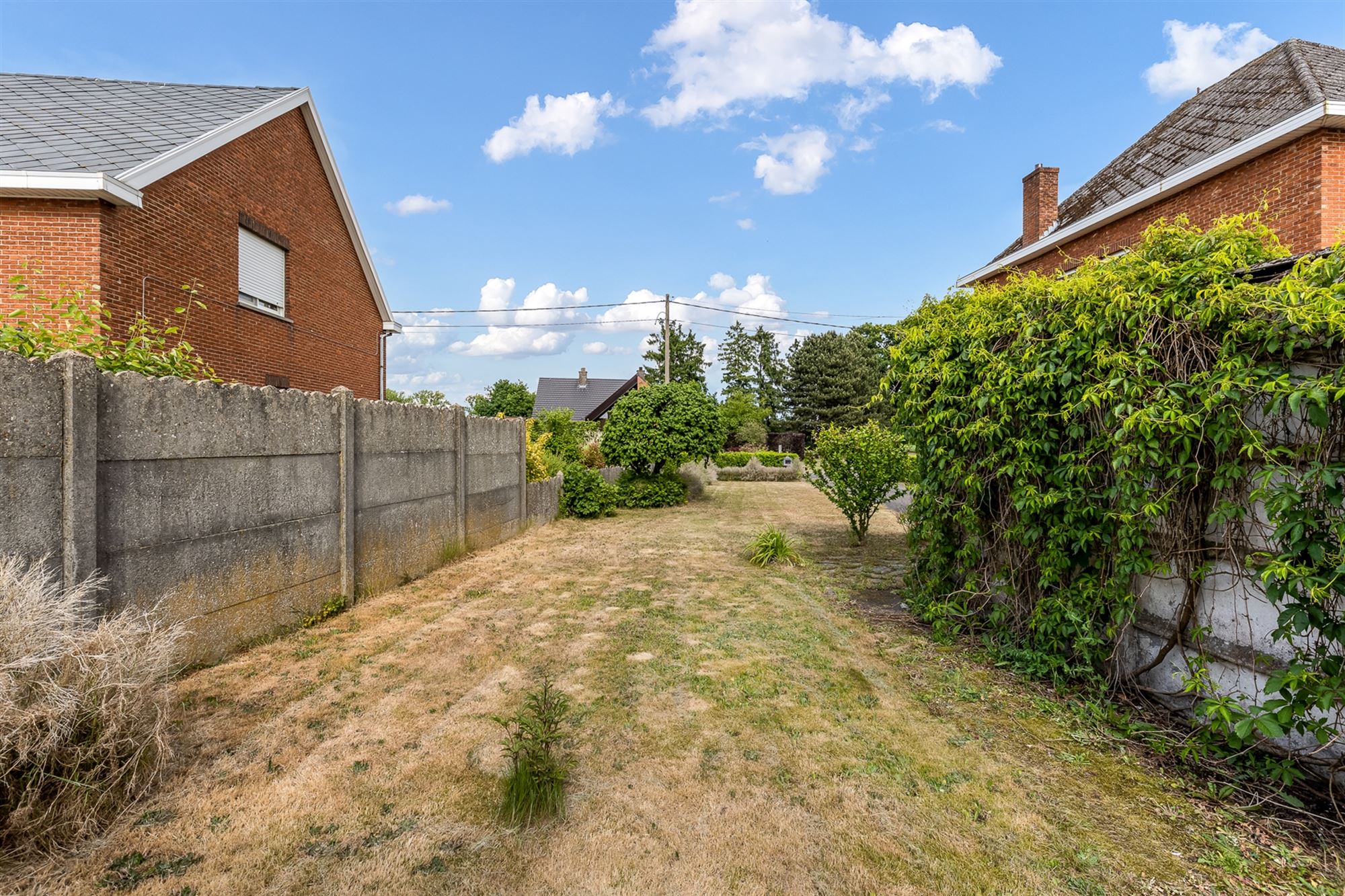 WONING MET POTENTIEEL EN GROTE TUIN OP EEN PERCEEL VAN 12A14CA TE TESSENDERLO foto 21
