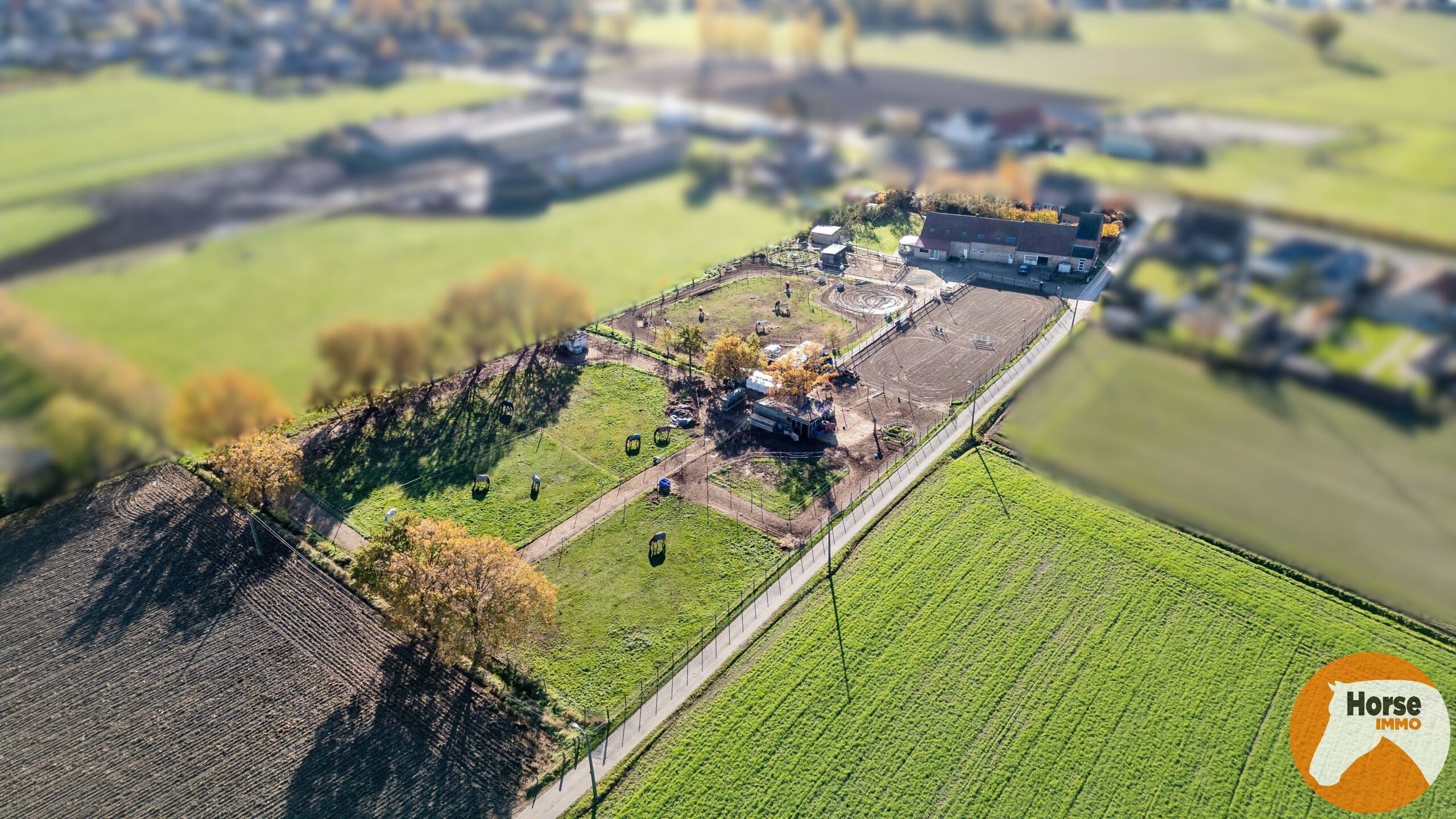 PUTTE - Landelijk wonen met extra verhuurwoning foto 27