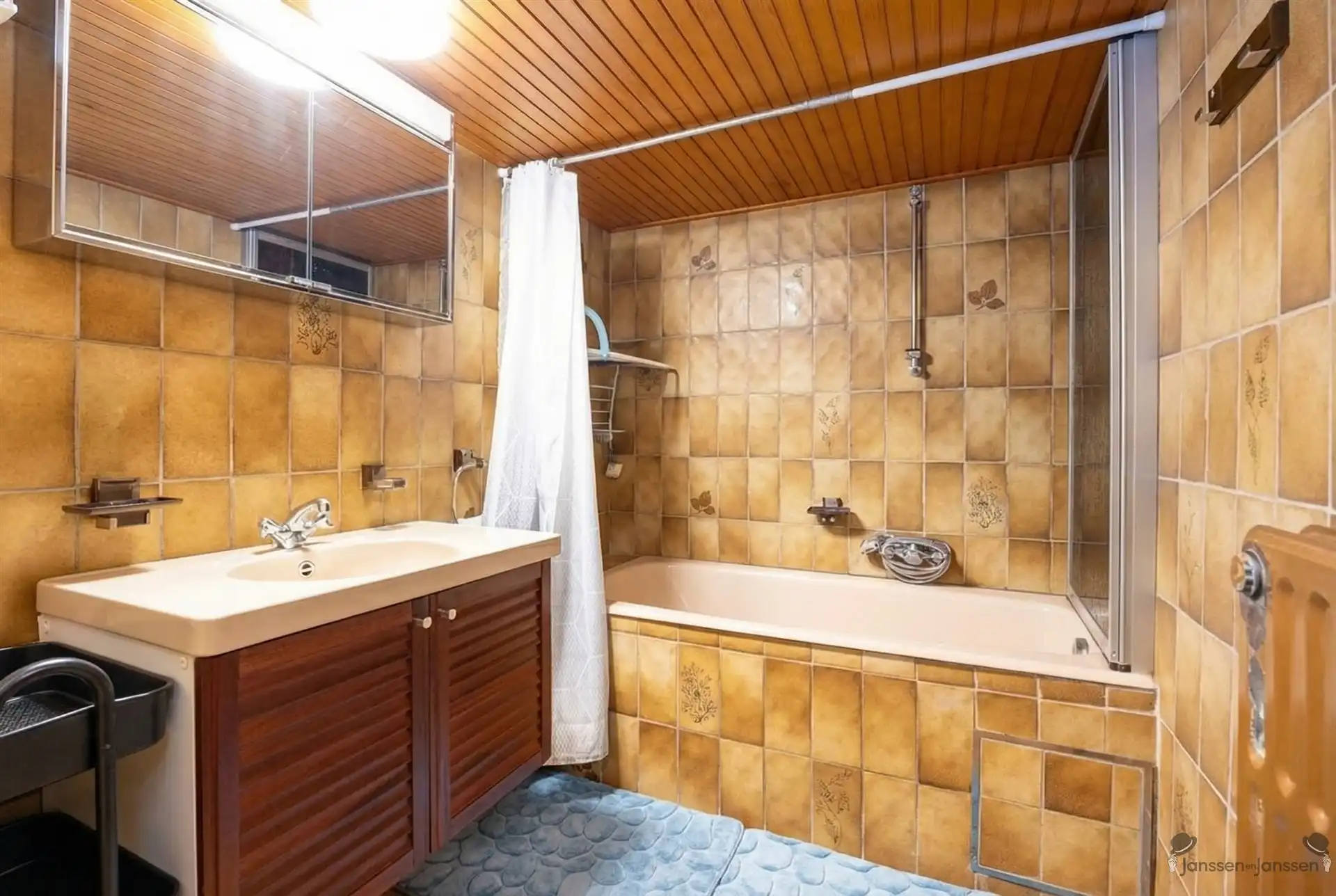 Villa met eindeloze mogelijkheden op 6270 m² grond foto 15